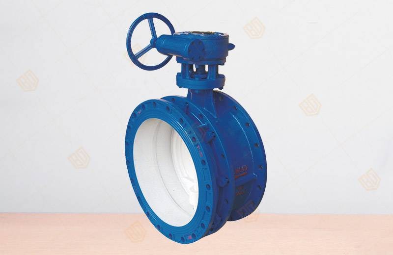Flanged Telescopic Butterfly Valve